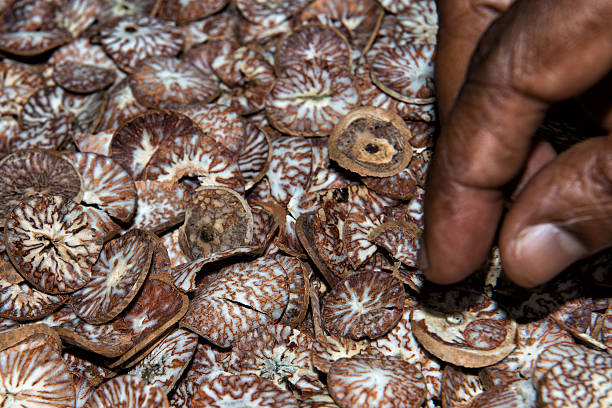 istock Betel seed made of cutted khat 470523170