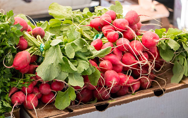 istock Bunches of Radishes 470530388
