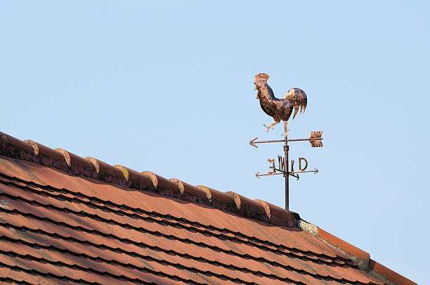 cobre weathercock en el último piso - roof roof tile rooster weather vane fotografías e imágenes de stock