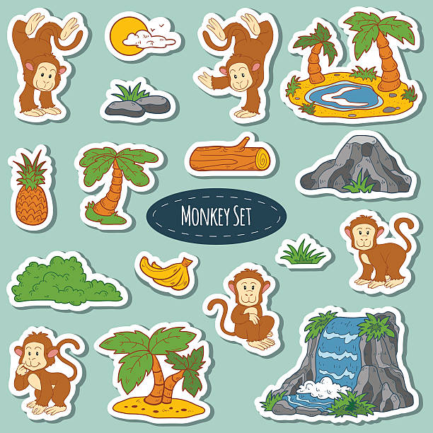 ilustrações, clipart, desenhos animados e ícones de conjunto de diferentes linda monkey, adesivos vetor de animais - clip art waterfall tree illustration and painting