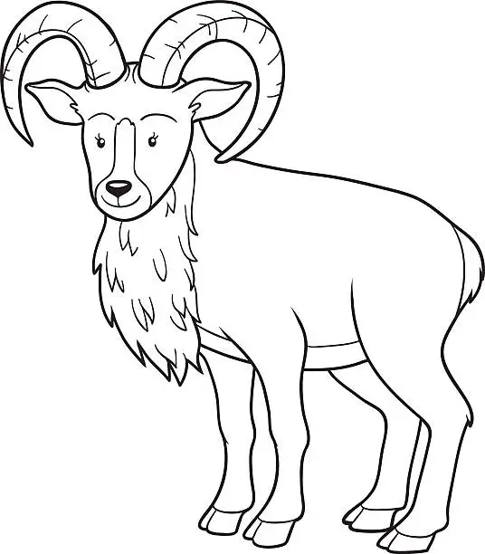 Vector illustration of Coloring book (urial)