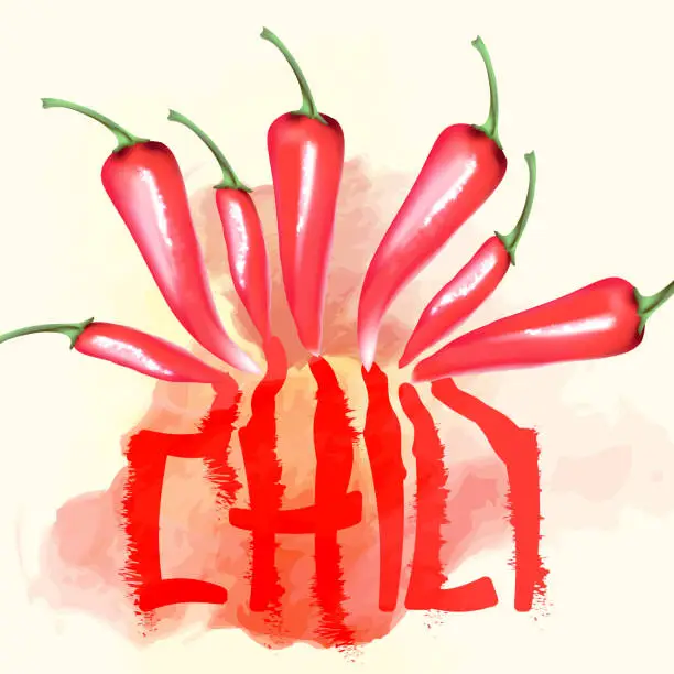 Vector illustration of Hot red chili peppers on white