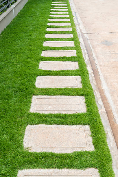 istock Stone walkway in the garden 470542848
