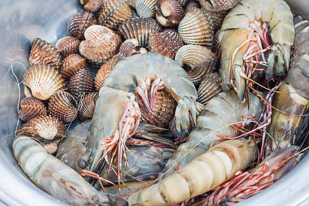 istock Fresh shrimp and cockle 470543092