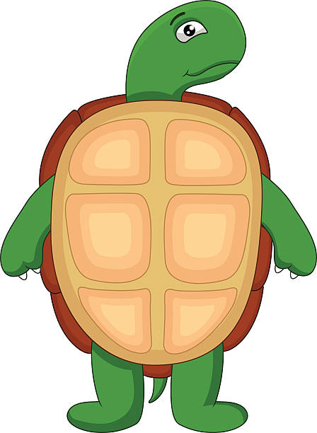 Cute Green Turtle Cartoon Stock Illustration - Download Image Now - 2015,  Amphibian, Animal - iStock