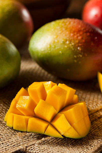istock Organic Colorful Ripe Mangos 470554139