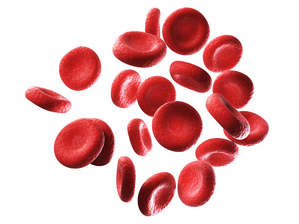 A microscopic picture of human red blood cells  stock photo