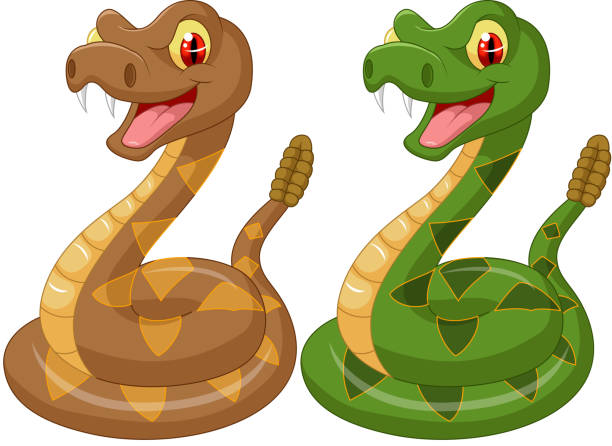 ilustraciones, imágenes clip art, dibujos animados e iconos de stock de serpiente de historieta sonajero - snake rattlesnake poisonous organism fang