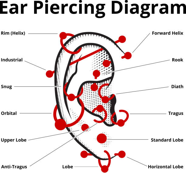 hno-piercing stil abbildung - variety stock-grafiken, -clipart, -cartoons und -symbole