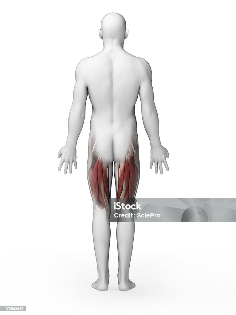 Hombre con dolor agudo, en la parte posterior - Foto de stock de Anatomía libre de derechos