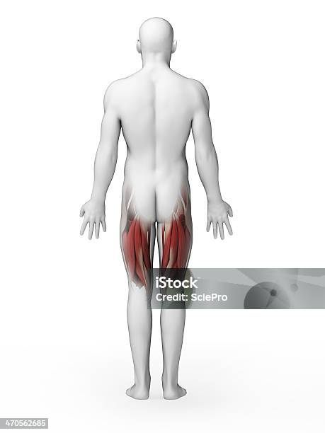 Hombre Con Dolor Agudo En La Parte Posterior Foto de stock y más banco de imágenes de Anatomía - Anatomía, Artritis, Asistencia sanitaria y medicina