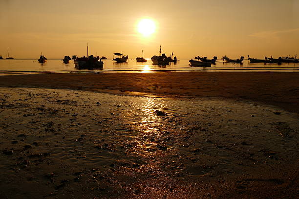 istock Beach at Sunset with Silhouette Coconut Palm Tree and Boats 470563504