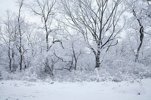 istock Winter scene at New York City 470566178
