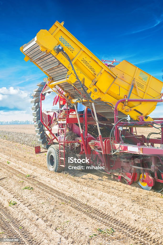 Batata de Silagem de trabalho close-up vista de conceito agrícola - Foto de stock de 2015 royalty-free