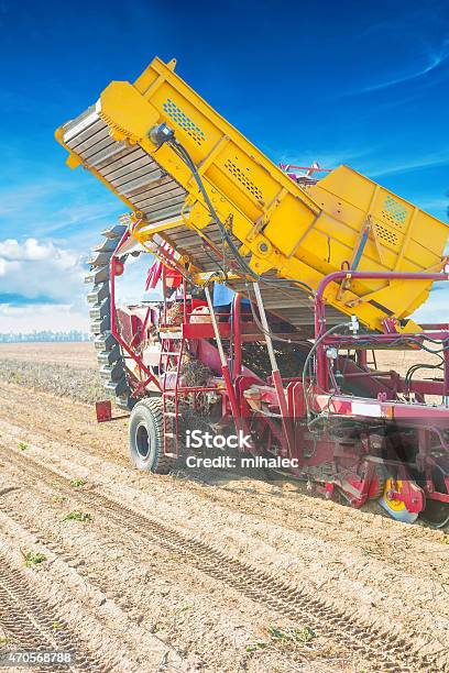 Foto de Batata De Silagem De Trabalho Closeup Vista De Conceito Agrícola e mais fotos de stock de 2015