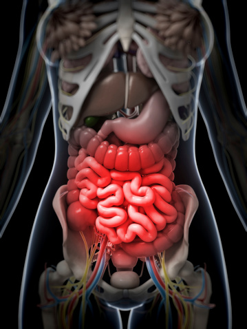 3d rendered illustration of a woman having bellyache