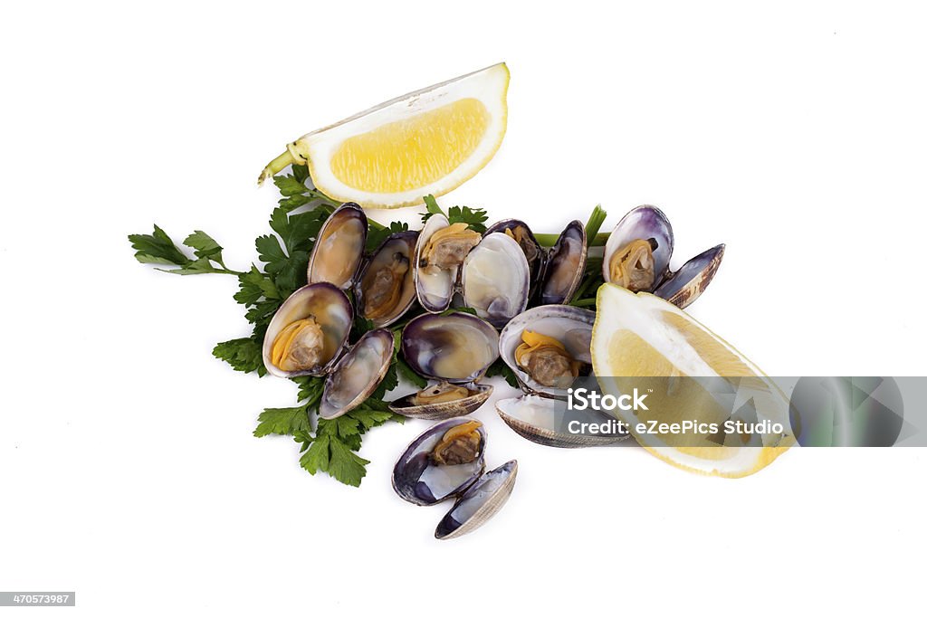 Boiled Clams Boiled clams with lemon slices on white background. Appetizer Stock Photo