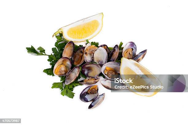Boiled Clams Stock Photo - Download Image Now - Appetizer, Boiled, Clam - Seafood