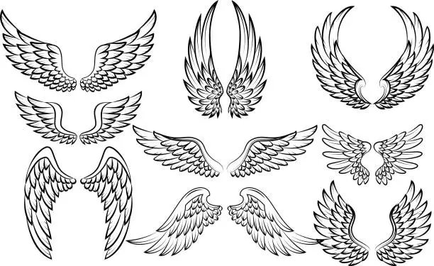 Vector illustration of Cartoon wings collection set