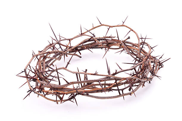 가시관 흰색 바탕에 그림자와 - easter crown of thorns forgiveness savior 뉴스 사진 이미지