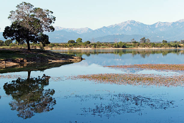 istock Lake in eastern plain of Corsica 470582523