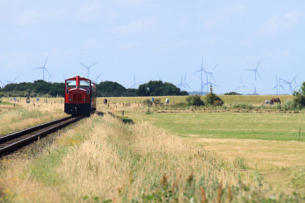 Narrow-gauge railway with diesel locomotive and carriages in a public park.