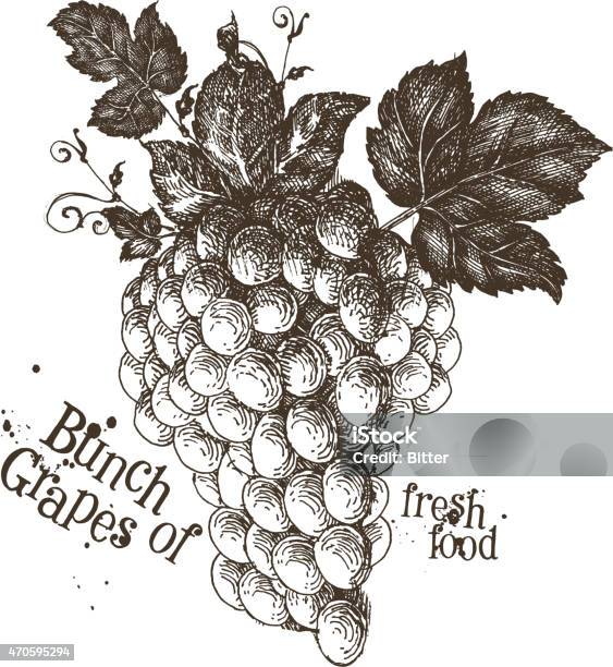 Grapes Vector Logo Design Template Fruit Or Fresh Food Icon Stock Illustration - Download Image Now