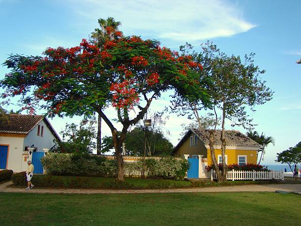 Porto Seguro, Brazil - March 6, 2008: Historical place in Porto Seguro, Bahia - Brazil