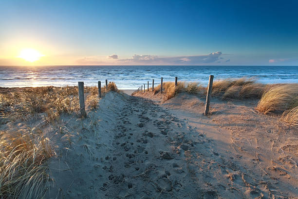 path on sand to ocean beach stock photo