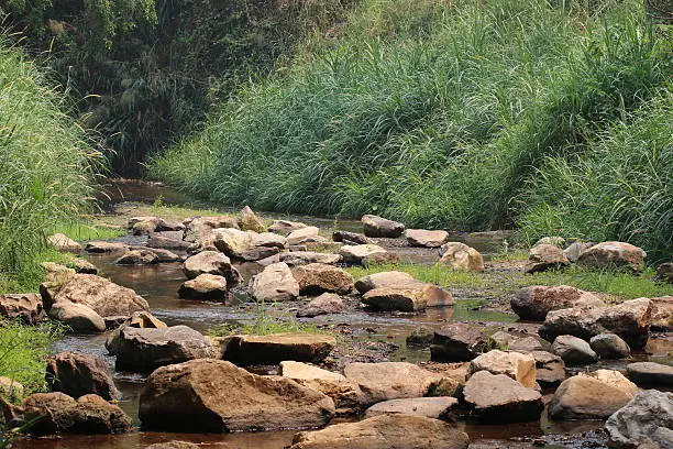 Photo of Rocks in the stream.