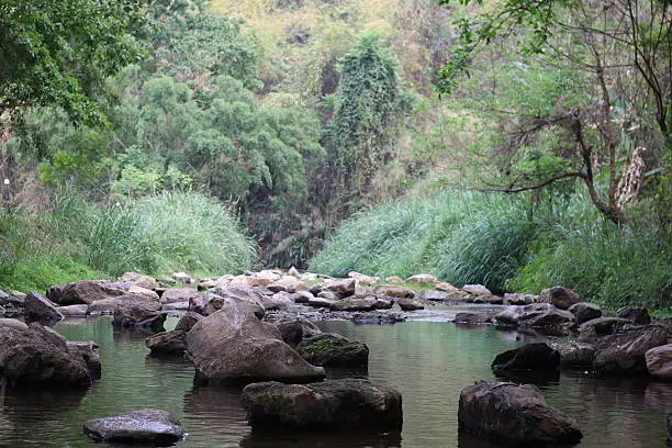 Photo of Rocks in the stream.