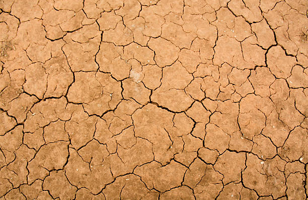 Close-up of dry cracks in the desert