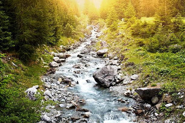 istock River flowing with rocks in the middle of a forest. 470601804