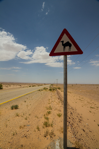 Sign warning of the possibility of camels crossing in Wadi Araba, Jordan