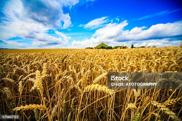 Los Campos De Trigo De Butte Du León De Waterloo Bélgica Foto de stock y más banco de imágenes de 2015