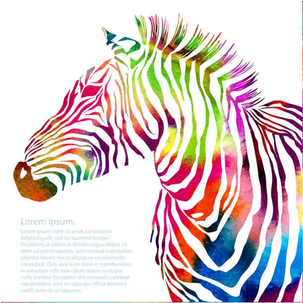Vector illustration of Animal illustration of watercolor zebra silhouette