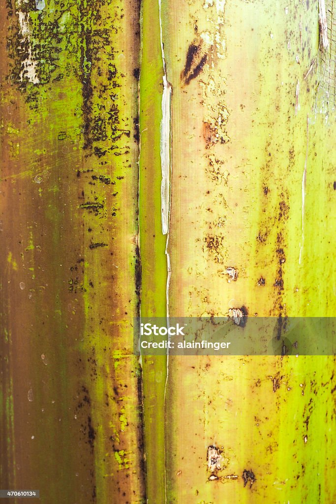 bark of banana tree 2015 Stock Photo