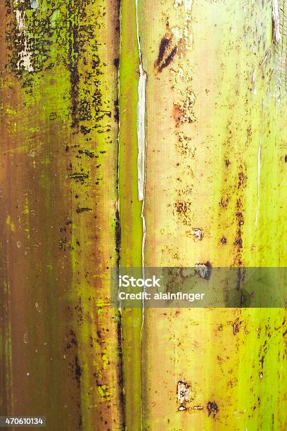 Bark Of Banana Tree Stock Photo - Download Image Now - 2015, Abstract, Backgrounds