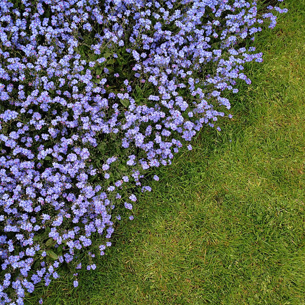 The beautiful flower garden in the Brussels park