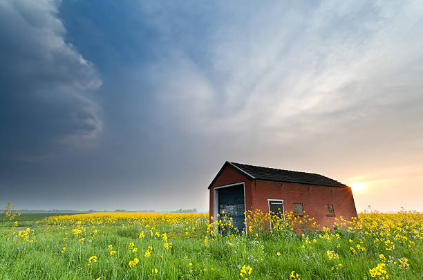 istock farmhouse on rapeseed field at sunset 470611134