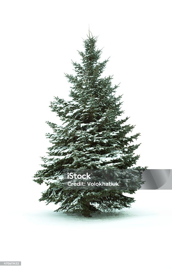 Árbol de navidad - Foto de stock de Árbol de navidad libre de derechos