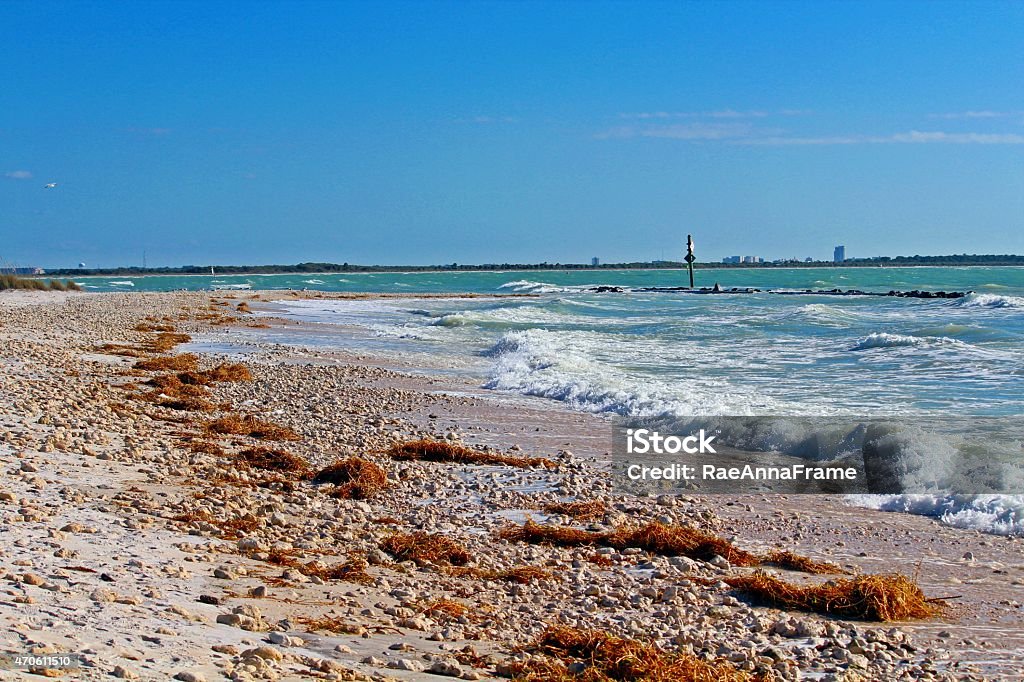 Beach Scene Dunedin Florida Beaches with waves coming in on Honeymoon Island, Clearwater Beach Skyline in the background Honeymoon Island State Park Stock Photo