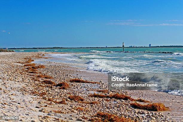 Beach Scene Dunedin Florida Stock Photo - Download Image Now - Honeymoon Island State Park, Tourist Resort, 2015