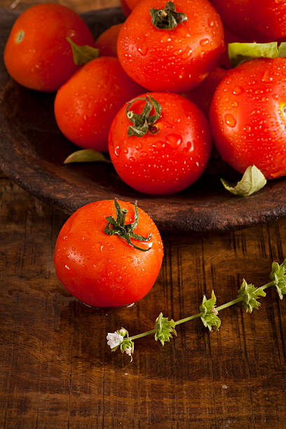 Fresh tomatoes with basil stock photo