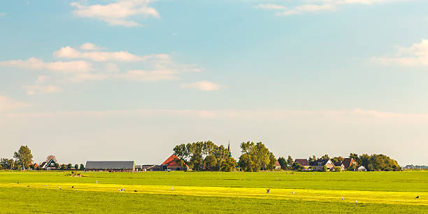 작은가 네덜란드 타운명을 현 프리즐란트 - polder field meadow landscape 뉴스 사진 이미지