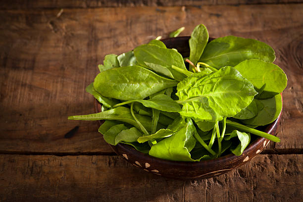 Fresh spinach stock photo