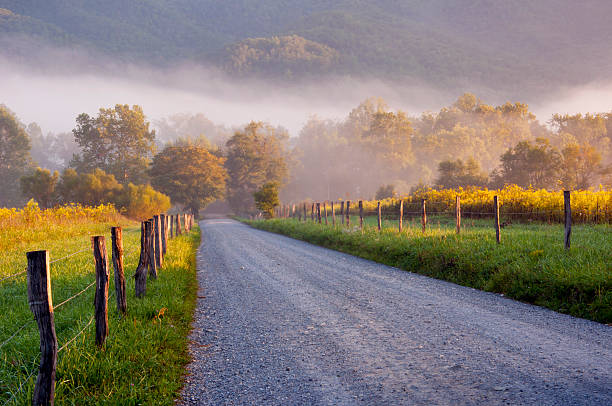 cades cove road en couleurs printanières et du brouillard. - cades cove photos et images de collection