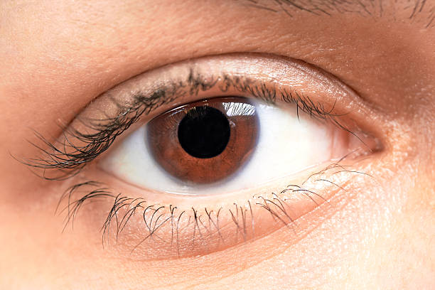 istock brown eyes girl 470631459