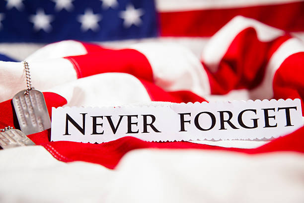 istock Military dog tags beside 