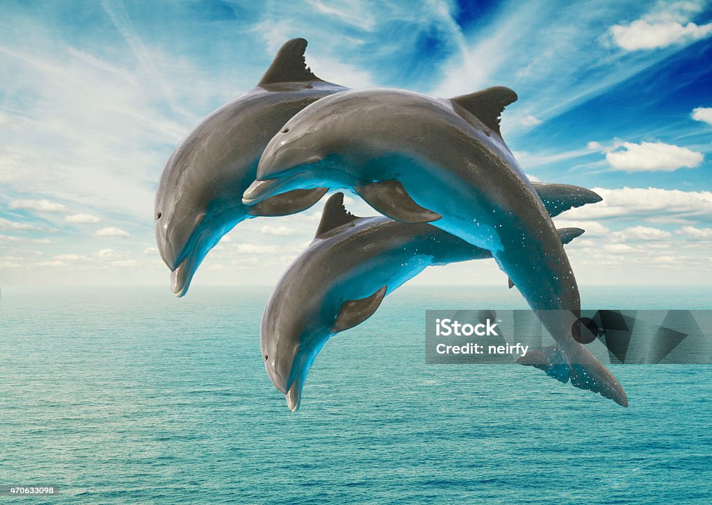 three  jumping dolphins three jumping dolphins, seascape with deep  ocean  waters and cloudscape Dolphin Stock Photo